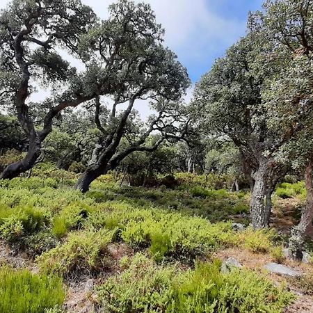 La Buganvilla Facinas Dış mekan fotoğraf